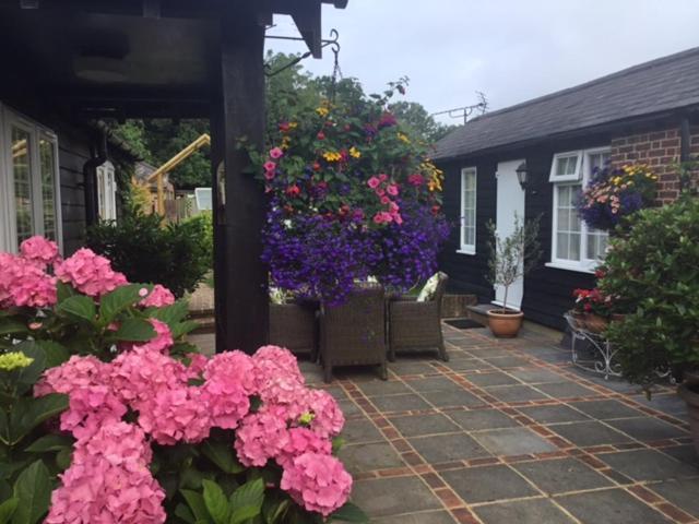 RudgwickThe Coach House住宿加早餐旅馆 外观 照片